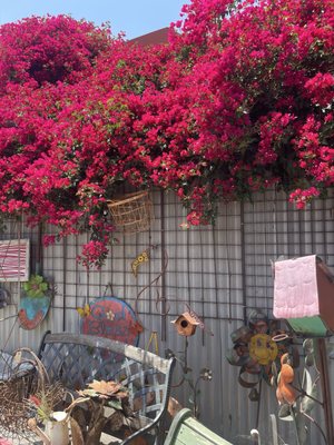 Treasures & Junk Antique Mall by null