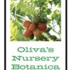 Oliva’s Nursery Botanica gift card