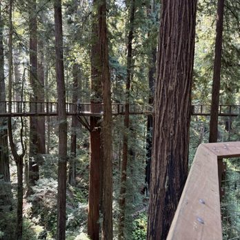 The Redwood Sky Walk - Parks Near Me - Eureka, California