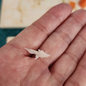 Sushi Wabi Sabi - Bone found. - Sushi Bars Near Me - Costa Mesa, California Sushi Wabi Sabi - Bone found. - Sushi Bars Near Me - Costa Mesa, California