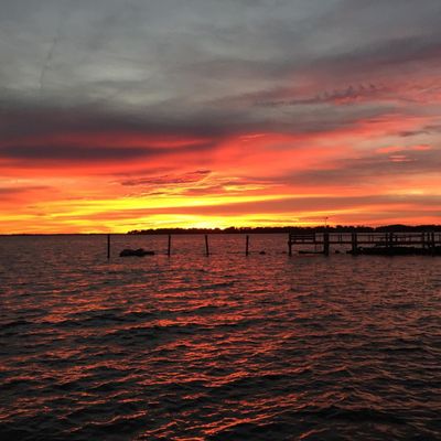 The Lobster Pot by null