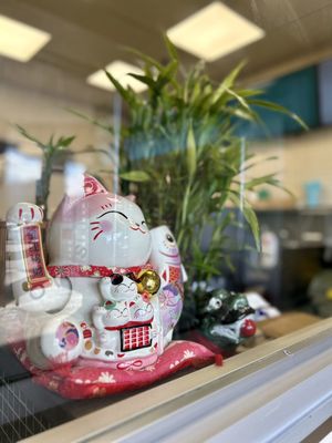 Vietnoms Thornhill by null