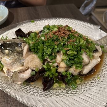 Uluh - Steamed Sea Bass with Scallion - Tea Rooms Near Me - New York, New York Uluh - Steamed Sea Bass with Scallion - Tea Rooms Near Me - New York, New York