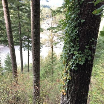 Roaring River Bed & Breakfast - Bed & Breakfast Near Me - North Bend, Washington