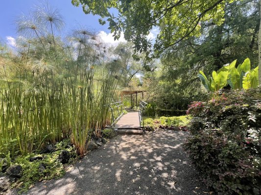 Jardín Botánico del Bosque de Chapultepec by null