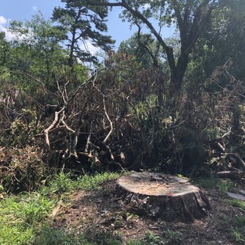 Don's Tree Service - Another view of tree debris left in yard - Tree Services Near Me - Atlanta, Georgia