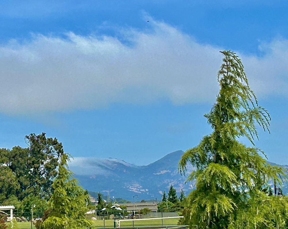 CORDELIA COMMUNITY PARK Updated May 2024 113 Photos & 63 Reviews