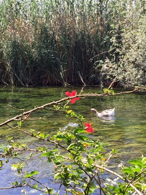 Hilmi Restaurant Balık Pazarı by null