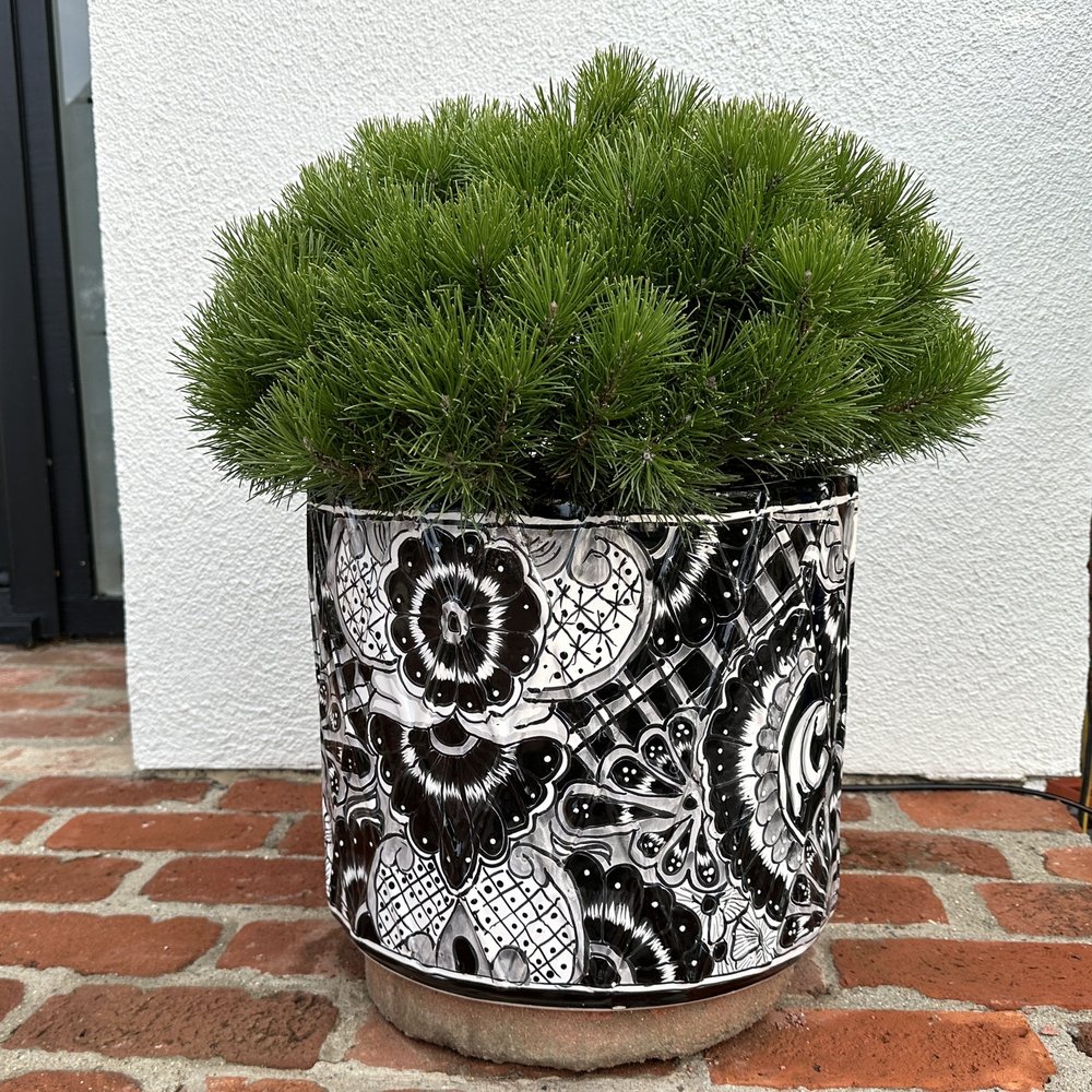 Cinnabar - Home Decor Near Me - Cambria, California Cinnabar - Home Decor Near Me - Cambria, California