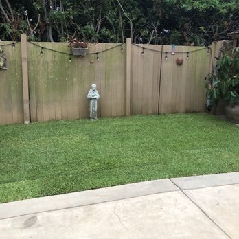 American Sod Farms - We are so happy with our new sod.. 6-13-24 - Landscaping Near Me - Escondido, California American Sod Farms - We are so happy with our new sod.. 6-13-24 - Landscaping Near Me - Escondido, California
