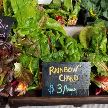 Suncatcher Farm - $3 a bunch for farm fresh rainbow chard! - Pick Your Own Farms Near Me - Petaluma, California