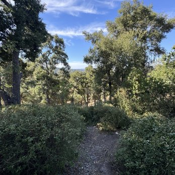 Bella Landscape - Lawn Services Near Me Bella Landscape - Lawn Services Near Me