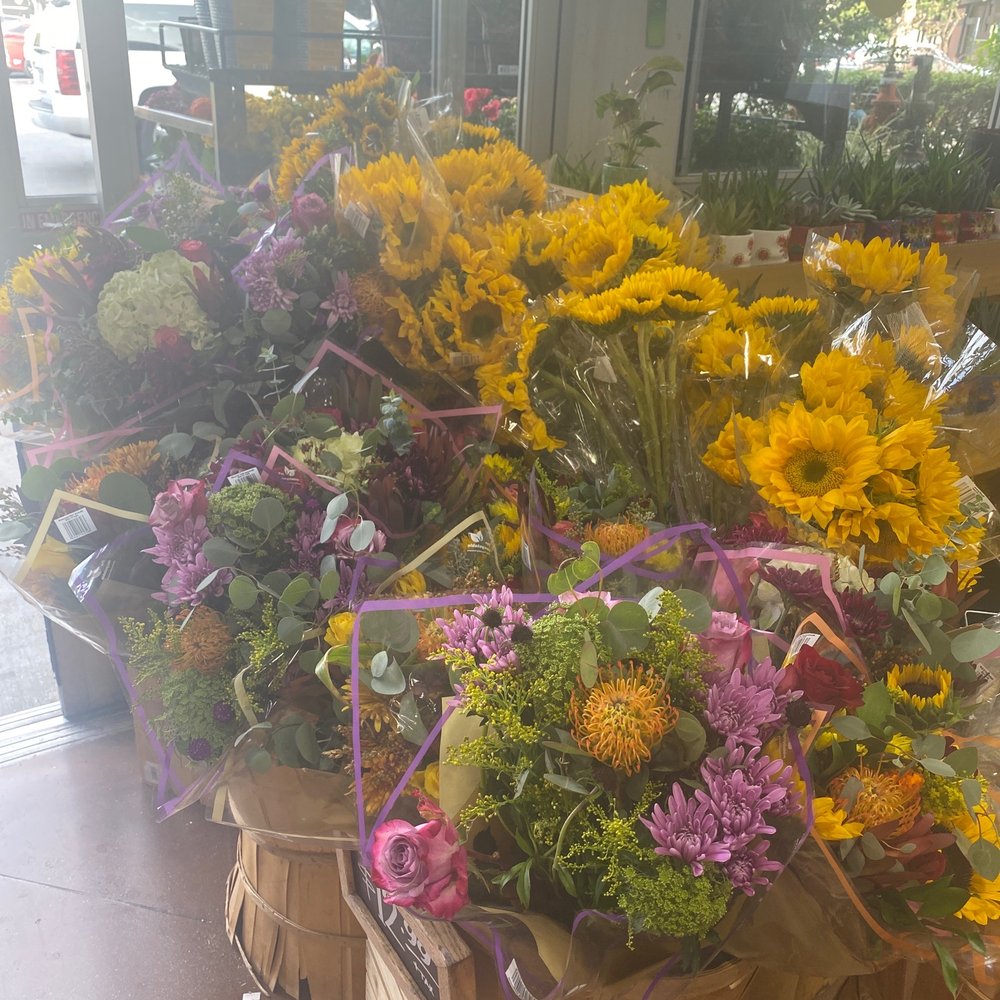 Trader Joe's - Grocery Near Me - San Diego, California Trader Joe's - Grocery Near Me - San Diego, California