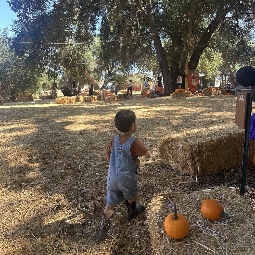 The Wickerd Farm - Christmas Trees Near Me - Menifee, California The Wickerd Farm - Christmas Trees Near Me - Menifee, California
