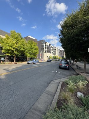 The Gulch by null