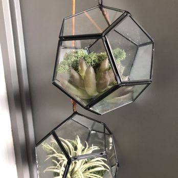 Park James Hotel - Cute little succulents in the room - Hotels Near Me - Menlo Park, California Park James Hotel - Cute little succulents in the room - Hotels Near Me - Menlo Park, California