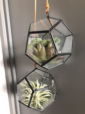 Park James Hotel by null