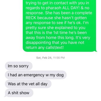 The Confident Dog Training Services - My sister text him when I was exhausted in calling him a 1000 times - Pet Training Near Me The Confident Dog Training Services - My sister text him when I was exhausted in calling him a 1000 times - Pet Training Near Me