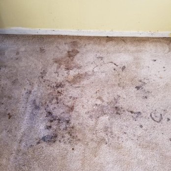 Brodine Steam Cleaning - Before Brodine Steam cleaning - Carpet Cleaning Near Me - Redondo Beach, California Brodine Steam Cleaning - Before Brodine Steam cleaning - Carpet Cleaning Near Me - Redondo Beach, California