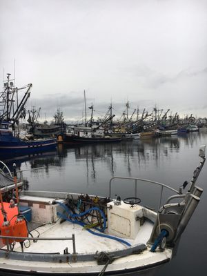 Fishermen's Terminal by null