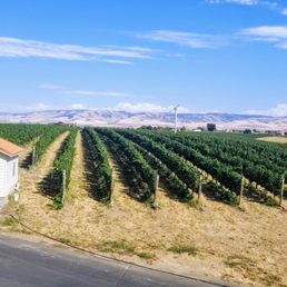 Vineyards