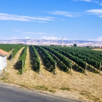 Pepper Bridge Winery - Walla Walla Valley - Vineyards - Wine Tasting Room Near Me - Walla Walla, Washington