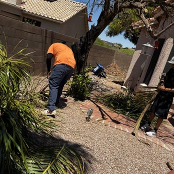 All Pro Landscaping - Tree Services Near Me - Tucson, Arizona All Pro Landscaping - Tree Services Near Me - Tucson, Arizona