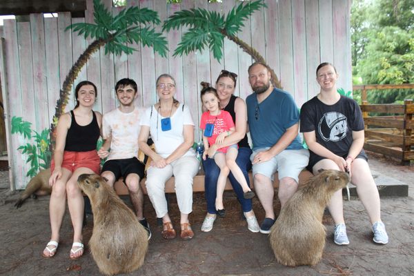 Gatorland by null