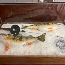 Ice fishing display in dining room.