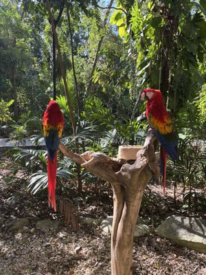 Occidental at Xcaret Destination by null