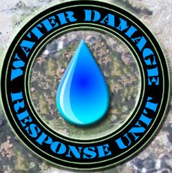 Slide of LGT Restoration-Third Nail Guy