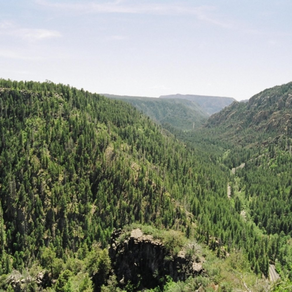 Coconino National Forest - Public Services & Government Near Me - Flagstaff, Arizona Coconino National Forest - Public Services & Government Near Me - Flagstaff, Arizona