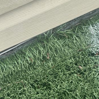 Master Lawns and Designs - Pulled turf and was not nailed back in place - Landscaping Near Me - Atlanta, Georgia