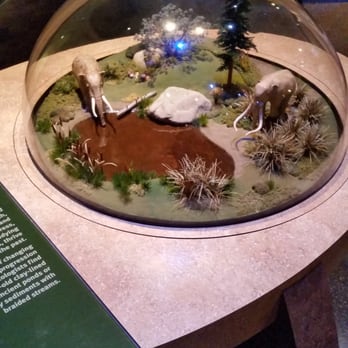 Western Science Center - Museums Near Me - Hemet, California Western Science Center - Museums Near Me - Hemet, California