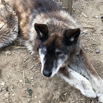 Howling Woods Farm - Animal Shelters Near Me - Jackson, New Jersey