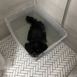 De Grasse Jacqueline RN DC - Dallas's doing his Epsom warm water floats. He just stays in there floating like a Angel.