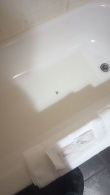 Helendorf River Inn, Suites & Conference Center by null