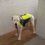 Photo of Fisio Animalia