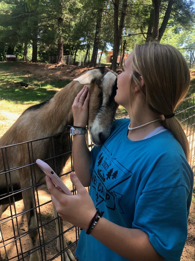 ANIMAL HAVEN OF ASHEVILLE Updated September 2024 23 Photos 65