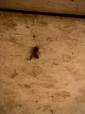 The Farrington Inn by null