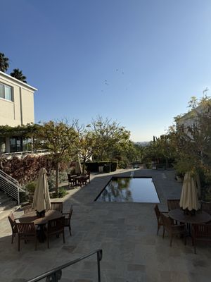 Peace Awareness Labyrinth and Gardens by null