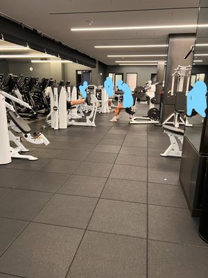 Equinox Van Mission by null