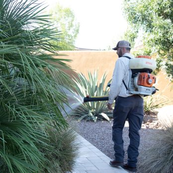 Bulwark Exterminating - Pest Control Near Me - Katy, Texas