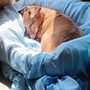 Photo of Justus Veterinary Clinic