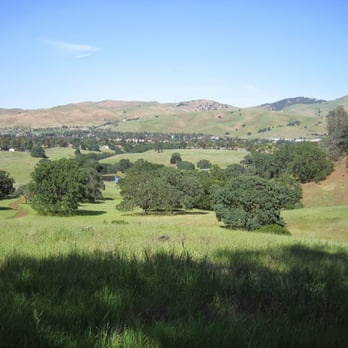 Mount Diablo State Park - Greenery near the Mitchell Canyon trailhead (Sunday hike 2015-04-12, Mitchell Canyon - Eagle Peak Loop) - Parks Near Me - Clayton, California Mount Diablo State Park - Greenery near the Mitchell Canyon trailhead (Sunday hike 2015-04-12, Mitchell Canyon - Eagle Peak Loop) - Parks Near Me - Clayton, California