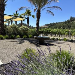 The property is filled with beautiful flowers accompanied with fountains all over the patio.