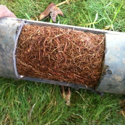 Davila Rooter & Plumbing