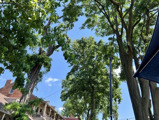 Bike Stop Cafe by null