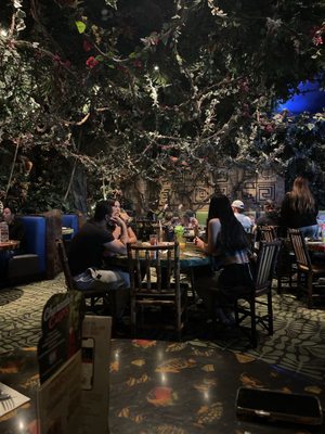 Rainforest Cafe by null