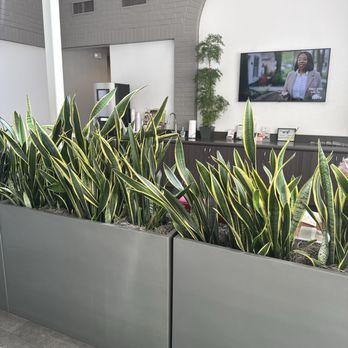Sugar Studio - Lobby (waiting area) - Skin Care Near Me - Sacramento, California Sugar Studio - Lobby (waiting area) - Skin Care Near Me - Sacramento, California